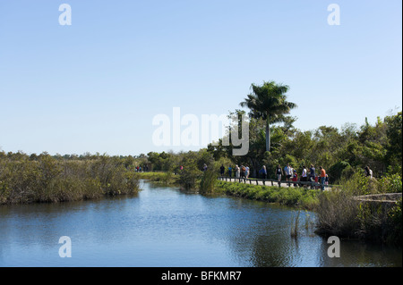 Besucher auf der Anhinga Trail, Royal Palm, Everglades-Nationalpark, Florida, USA Stockfoto