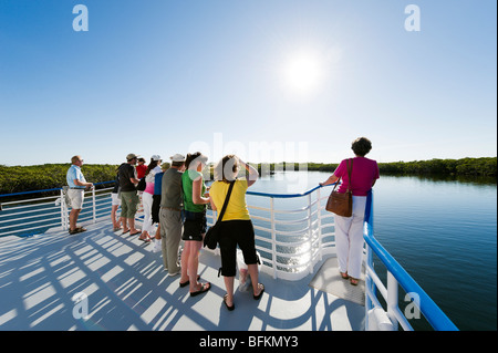 Blick vom Deck der Glasboden-Boot in den Mangroven im John Pennekamp Coral Reef State Park, Key Largo, Florida Keys, USA Stockfoto