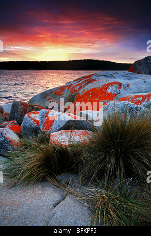 Saint Helens Punkt Tasmanien Australien Stockfoto