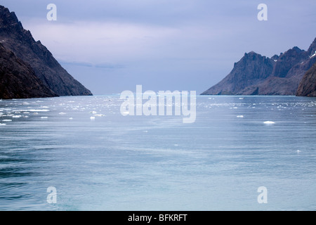 Die ruhigen Gewässer der Drygalski Fjord, South Georgia Island Stockfoto