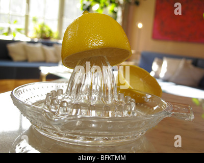 Frisch gepresster Zitronensaft in Saft Stockfoto