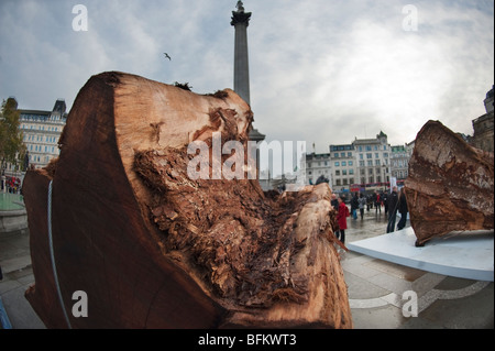 Geisterwald Ausstellung am Trafalgar Square in London Stockfoto