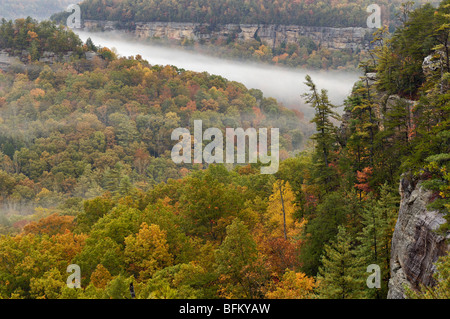 Ansicht der Herbst Farbe an Teufels Canyon Overlook in Red River Gorge, Kentucky Stockfoto