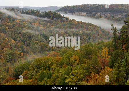 Ansicht der Herbst Farbe an Teufels Canyon Overlook in Red River Gorge, Kentucky Stockfoto