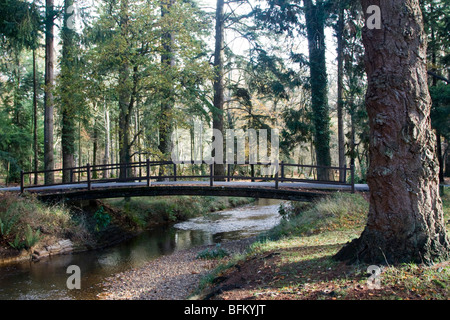 schwache Brücke 7,5-Tonnen Gewicht Grenze Herbst in der neuen Gesamtstruktur Hampshire England uk gb Stockfoto