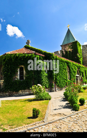 Kirche der Heiligen Mutter Gottes Ruzica Belgrad Stockfoto