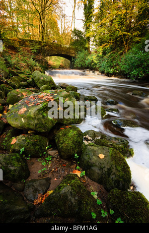 Herbstliche Bild des Craufurdland Wassers unter Brücke in Dean Land Schlosspark, Kilmarnock, Ayrshire Stockfoto