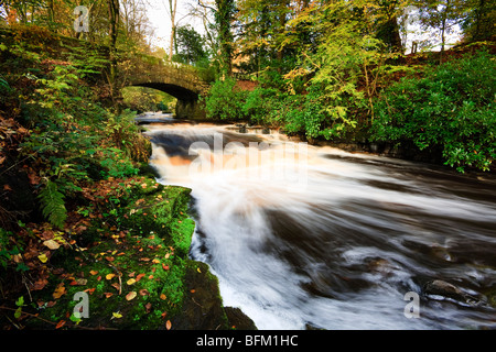 Herbstliche Bild des Craufurdland Wassers unter Brücke in Dean Land Schlosspark, Kilmarnock, Ayrshire Stockfoto