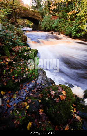 Herbstliche Bild des Craufurdland Wassers unter Brücke in Dean Land Schlosspark, Kilmarnock, Ayrshire Stockfoto