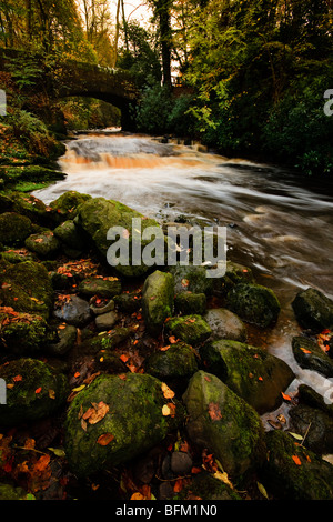 Herbstliche Bild des Craufurdland Wassers unter Brücke in Dean Land Schlosspark, Kilmarnock, Ayrshire Stockfoto