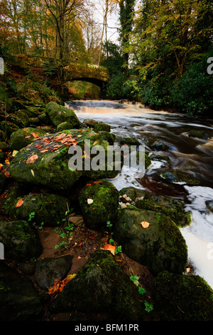 Herbstliche Bild des Craufurdland Wassers unter Brücke in Dean Land Schlosspark, Kilmarnock, Ayrshire Stockfoto