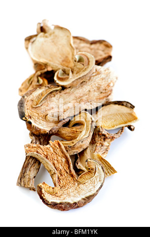 Getrocknet in Scheiben geschnittenen Steinpilze isoliert auf weißem Hintergrund Stockfoto