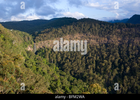 Lamington Nationalpark Stockfoto