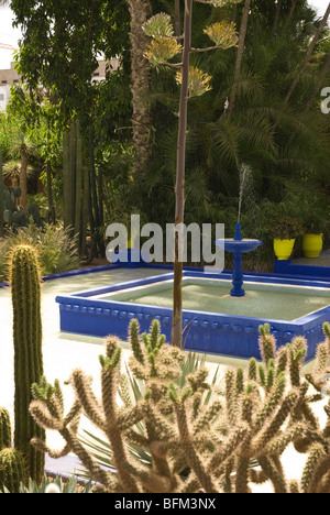 Majorelle Gärten in Marrakesch Stockfoto