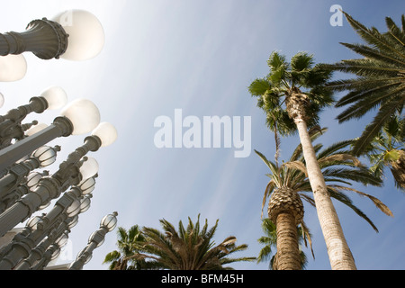 LACMA Lichter und Palmen mit blauem Himmel Stockfoto