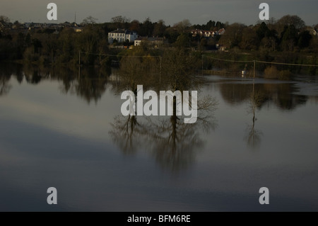 Ertrunken Bäume während einer Überschwemmung in Fermoy, Co Cork, November 2009 Stockfoto