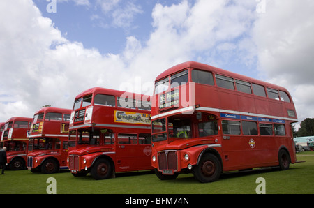 AEC Routemaster-Busse Stockfoto