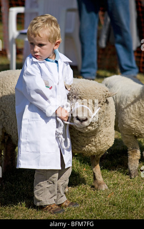 Niedlicher kleiner Junge mit seinen Tierschafen, die auf der Findon Sheep Fair, Findon, West Sussex, England, konkurrieren. Stockfoto