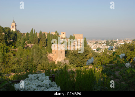 Blick vom Garten der Generalife gegenüber der Alhambra-Palast, Granada, Andalusien, Spanien Stockfoto