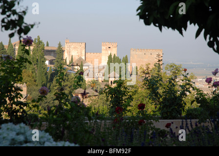 Blick vom Garten der Generalife gegenüber der Alhambra-Palast, Granada, Andalusien, Spanien Stockfoto