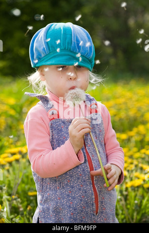 niedliche kleine Mädchen bläst zum weißen Flaum Löwenzahn auf gelbe Sommerwiese Stockfoto