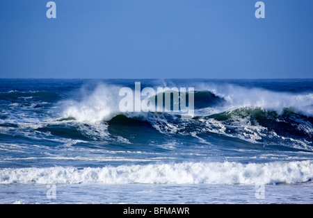 Tofino BC Kanada Pacific Rim Nat Park Stockfoto