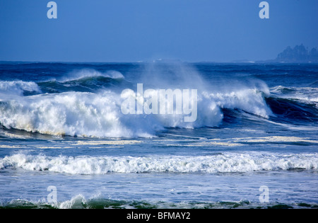 Tofino BC Kanada Pacific Rim Nat Park Stockfoto