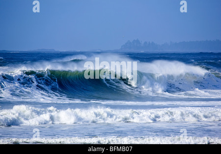 Tofino BC Kanada Pacific Rim Nat Park Stockfoto