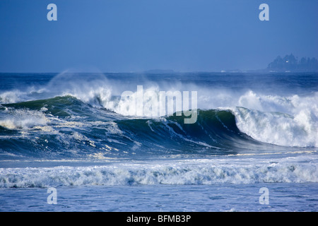 Tofino BC Kanada Pacific Rim Nat Park Stockfoto