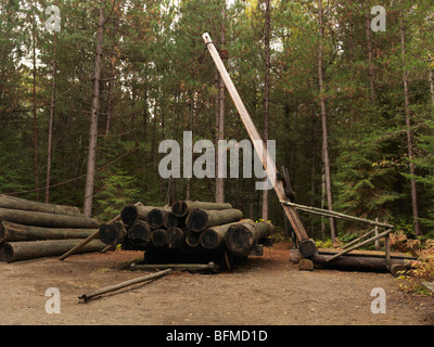 Jammer - meldet einen Log-Schlitten aus Holz Kran zum Heben Stockfoto