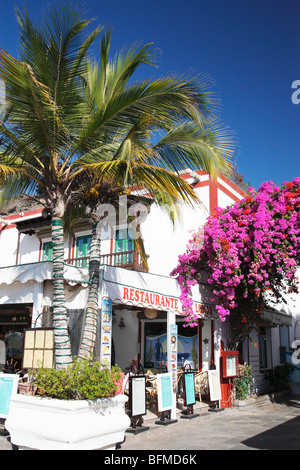 Palm Tree und Bougainvillea vor Restaurant mit Blick auf Yachthafen in Puerto de Mogan auf Gran Canaria Stockfoto