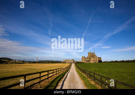 Dunbrody Abbey, County Wexford, Irland Stockfoto