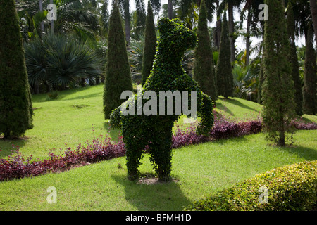 Tier Topiary im French Garden im Suan Nong Nooch oder NongNooch Tropical Botanical Garden Resort, Chon Buri, Pattaya, Thailand, Asien Stockfoto