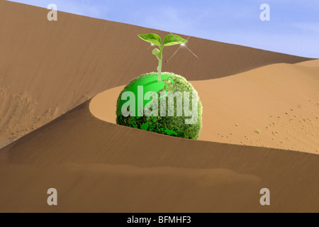 Schössling wächst von einer grünen Kugel in eine Wüste Stockfoto