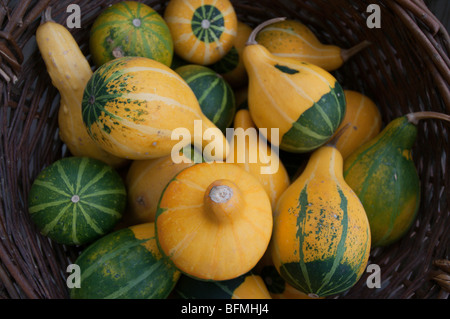 Kürbisse in Holzkiste, Draufsicht Stockfoto