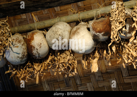 Menschliche Schädel oder Trophäen hängen in Kadazan Headhunter Haus, Sea Cultural Village, Kota Kinabalu, Sabah Malaysia Borneo Stockfoto