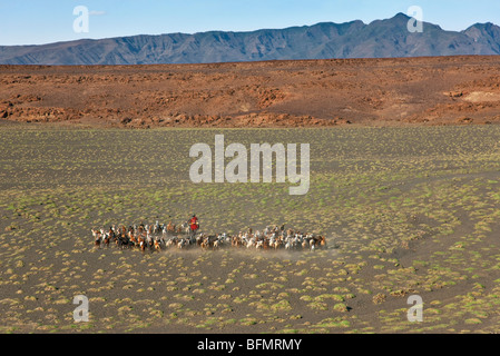 Ein Turkana-Mann Herden seine Ziegen in der Halbwüste Gelände in der Nähe der südöstlichen Küste des Lake Turkana. Stockfoto