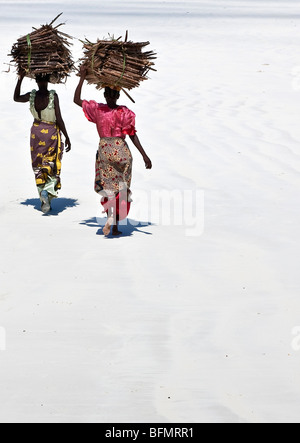 Kenia Mombasa. Frauen tragen auf ihren Köpfen Makuti (getrocknete Kokosnuss Palmwedel als Dachmaterial verwendet) an Kenia s Südküste. Stockfoto