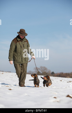 Rauhaar Dackel, Rauhhaar Dackel, Haushund (Canis Lupus F. Familiaris) Mann in Outddor Kleidung Wandern bis d Stockfoto