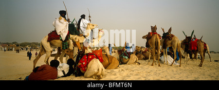 Mali, Essakane, in der Nähe von Timbuktu oder Tombouctou. Tuareg-Männer und Kamele zu sammeln, auf dem Festival in der Wüste oder Festival au Desert Stockfoto