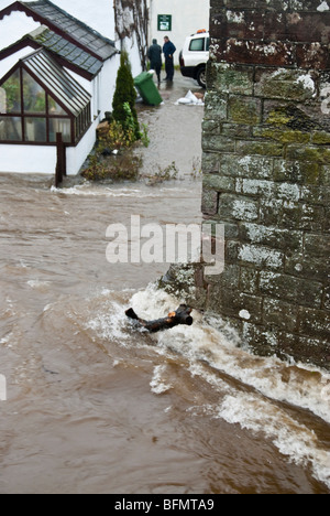 Eamont Brücke in der Nähe von Penrith, Cumbria, England, UK mit Hochwasser aus dem Fluss Eamont fließt aus Ullswater Überschwemmungen Häuser Stockfoto