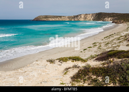 Australien, South Australia Kangaroo Island.  Entlang des Strandes in Pennington Bay anzeigen Stockfoto