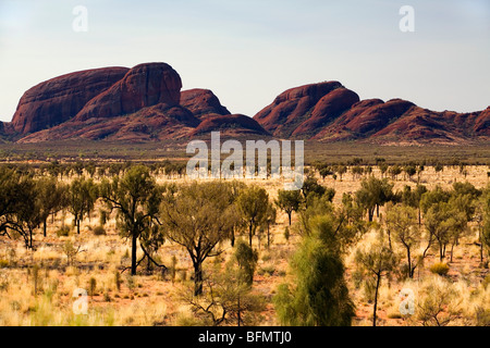 Australien, Northern Territory, Uluru-Kata Tjuta National Park. Blick über die Spinifex Ebenen zu Kata Tjuta (die Olgas). (PR) Stockfoto