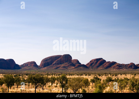 Australien, Northern Territory, Uluru-Kata Tjuta National Park. Blick über die Spinifex Ebenen zu Kata Tjuta (die Olgas) (PR) Stockfoto