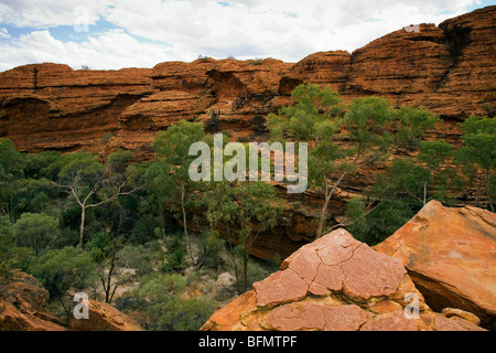 Australien, Northern Territory (Kings Canyon) Watarrka Nationalpark. Der Garten Eden - ein Naturbad in Kings Canyon. (PR) Stockfoto