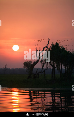 Australien, Northern Territory, Kakadu-Nationalpark, Cooinda.  Sonnenuntergang in den Feuchtgebieten Yellow Water. (PR) Stockfoto