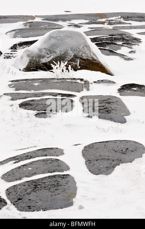 Hudson Bay Küstenfelsen im frühen Winter, Churchill, Manitoba, Kanada Stockfoto