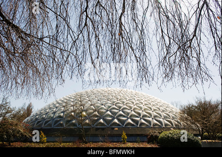 Kanada, British Columbia, Vancouver, Bloedel Floral Conservatory, Arboretum im Queen Elizabeth Park Stockfoto