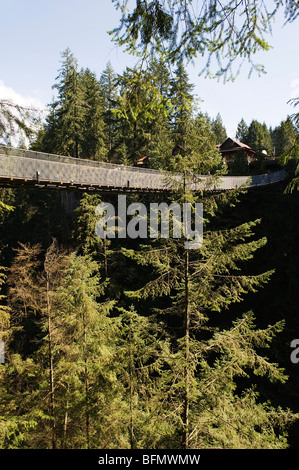 Kanada, British Columbia, Vancouver, Capilano Suspension Bridge und Park Stockfoto