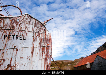 Südgeorgien und die Südlichen Sandwichinseln Südgeorgien, Cumberland Bay Grytviken. Schleifen eines gestrandeten Walfang-Bootes "Sturmvogel" Stockfoto